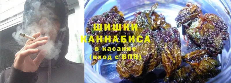 наркотики  Муравленко  Канабис White Widow 